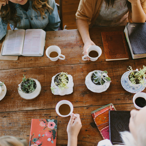 Mentoring Young Women – Online Course